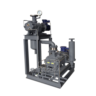 羅茨螺桿真空機(jī)組